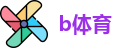 b体育sports